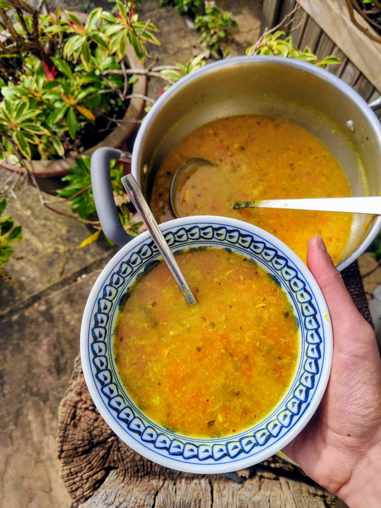 Lentil and Carrot Soup